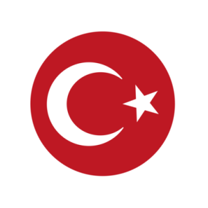 Türk Bayrağı Vektör Logo Tasarımı