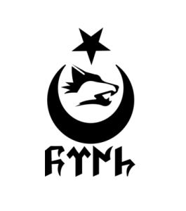 Göktürk Bozkurt Vektör Logo Tasarımı